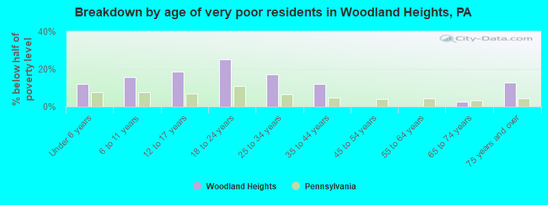 Breakdown by age of very poor residents in Woodland Heights, PA