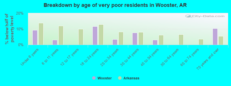 Breakdown by age of very poor residents in Wooster, AR