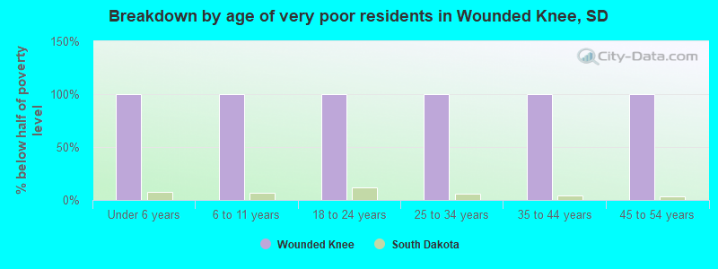 Breakdown by age of very poor residents in Wounded Knee, SD