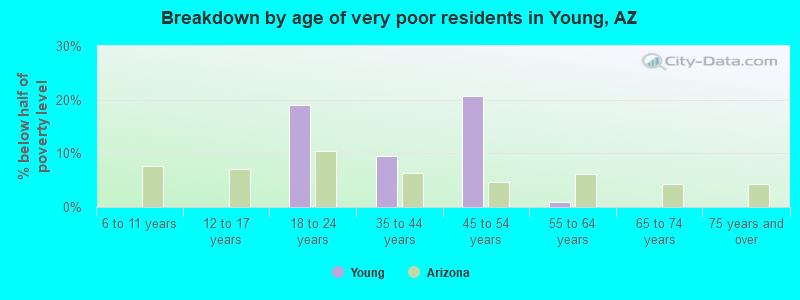 Breakdown by age of very poor residents in Young, AZ