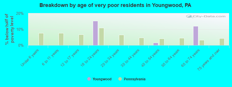 Breakdown by age of very poor residents in Youngwood, PA