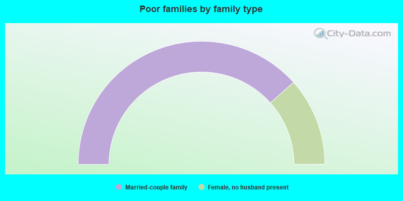 Poor families by family type