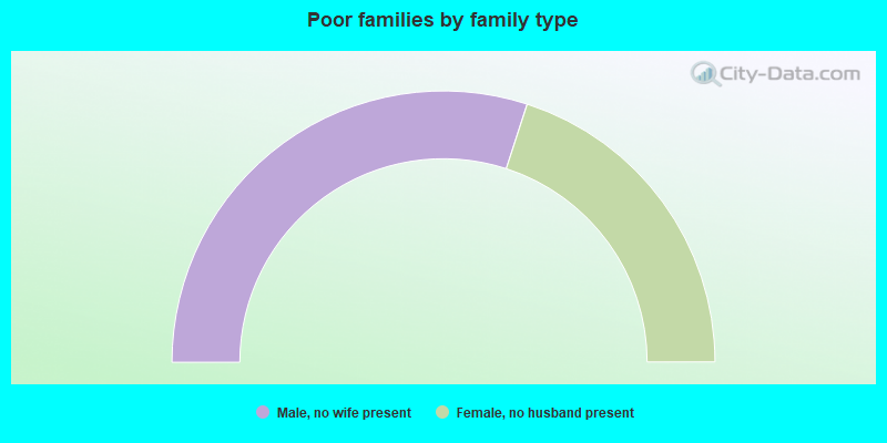 Poor families by family type