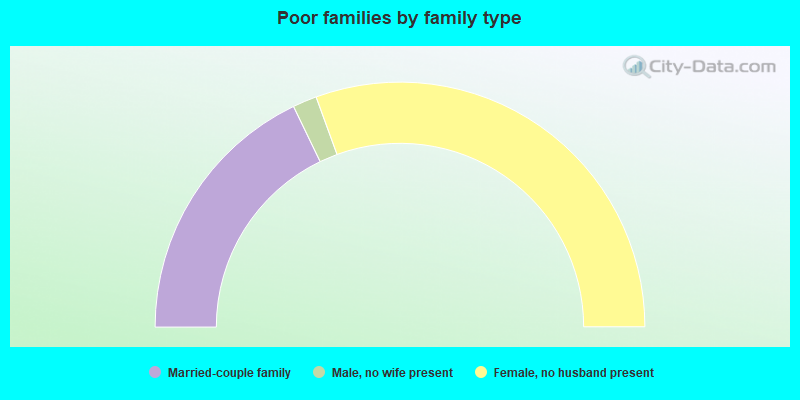 Poor families by family type