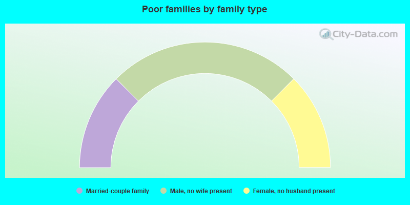 Poor families by family type