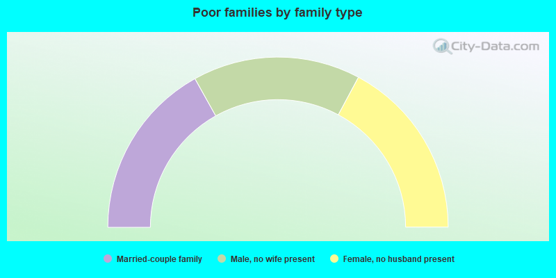 Poor families by family type