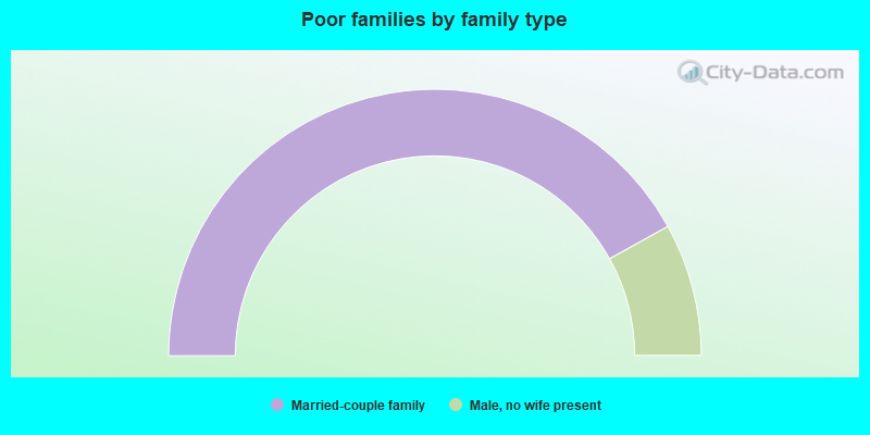 Poor families by family type