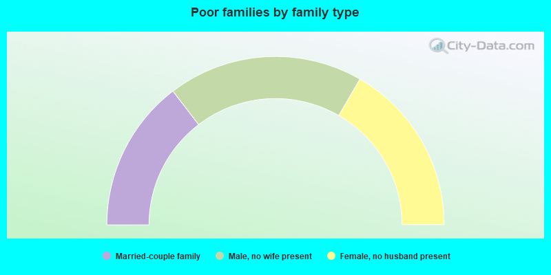 Poor families by family type