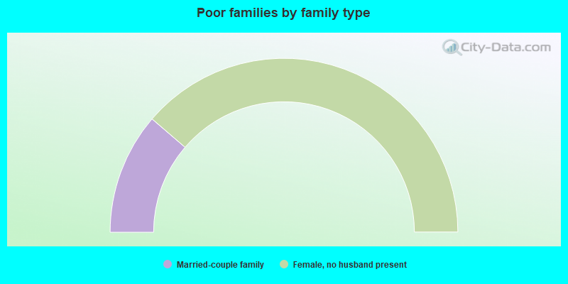 Poor families by family type