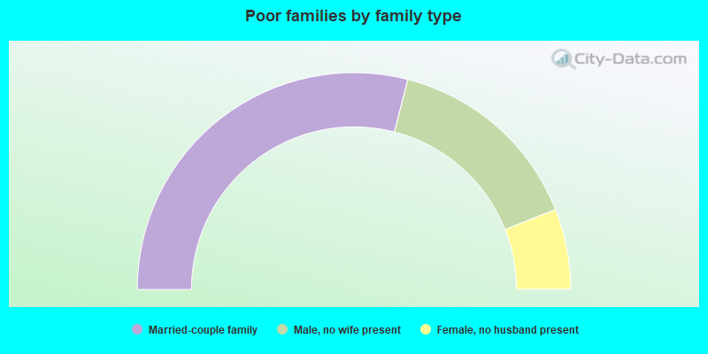 Poor families by family type