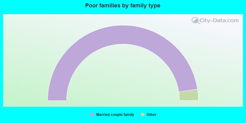 Poor families by family type