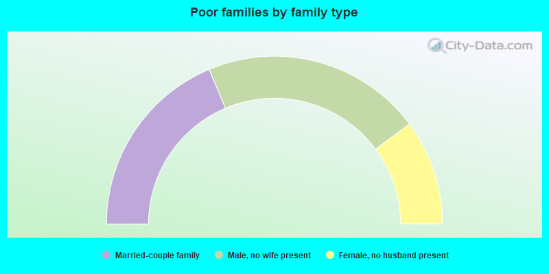 Poor families by family type