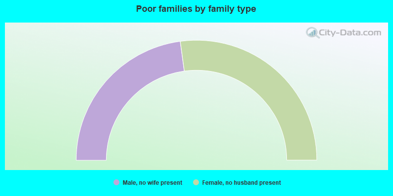 Poor families by family type