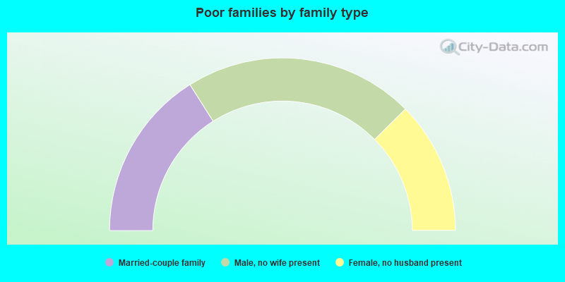 Poor families by family type