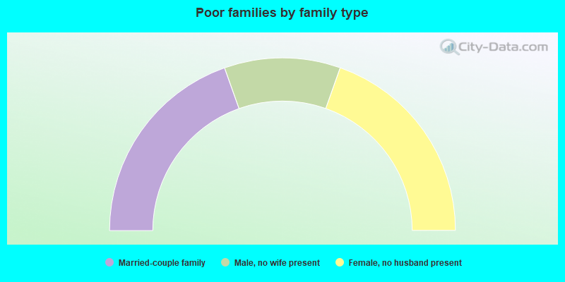 Poor families by family type