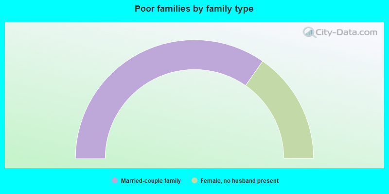 Poor families by family type