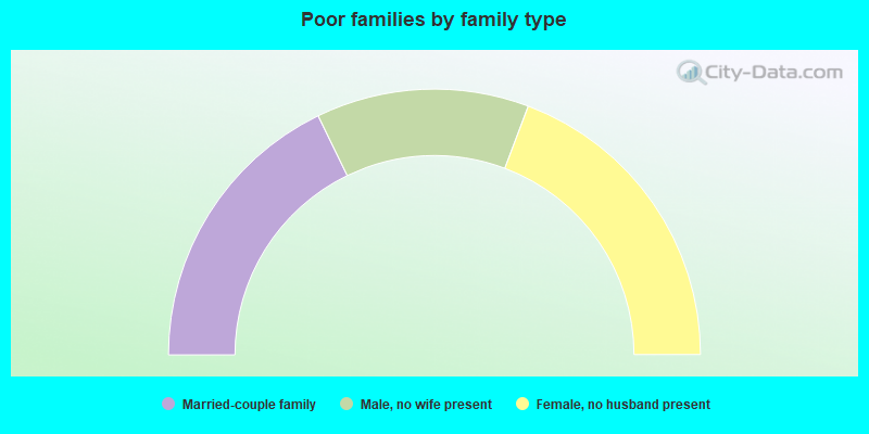 Poor families by family type