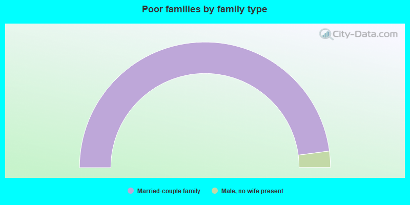 Poor families by family type