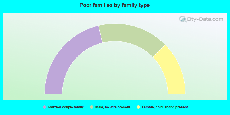 Poor families by family type