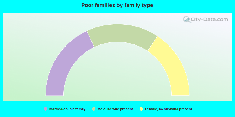 Poor families by family type