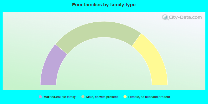 Poor families by family type