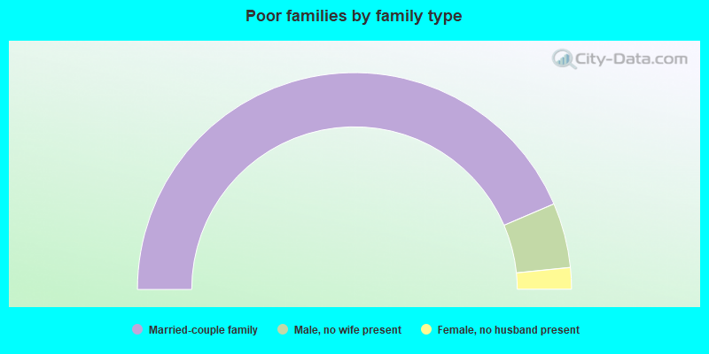 Poor families by family type