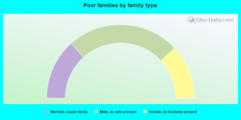 Poor families by family type