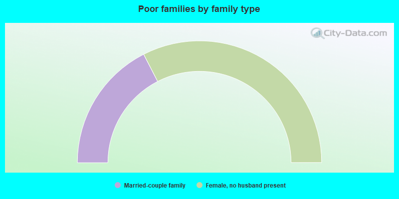 Poor families by family type