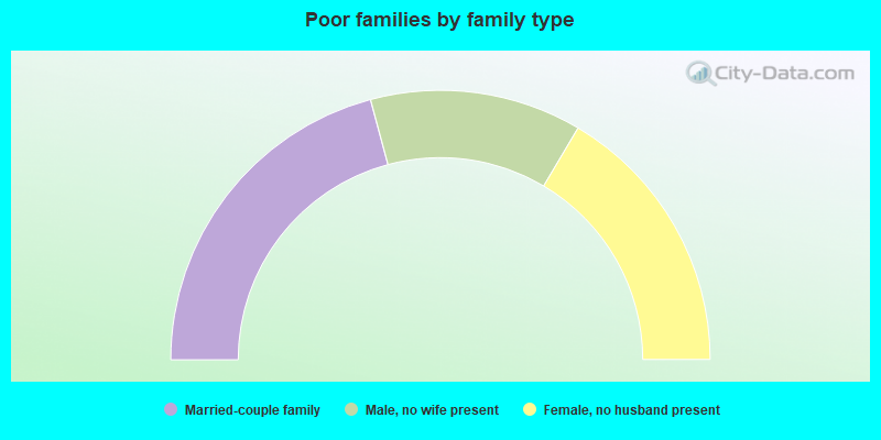 Poor families by family type