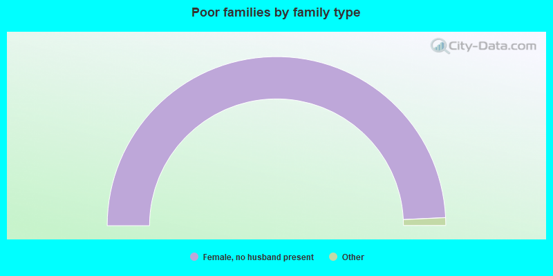 Poor families by family type