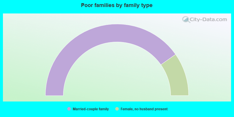 Poor families by family type