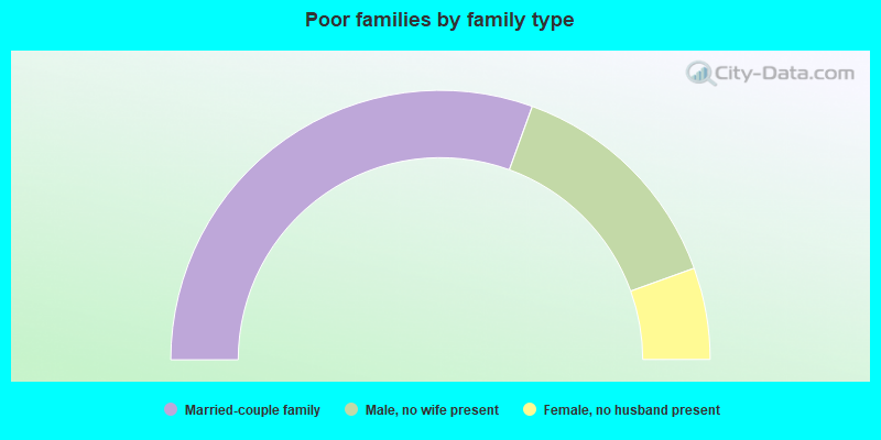 Poor families by family type