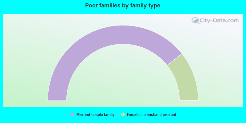 Poor families by family type