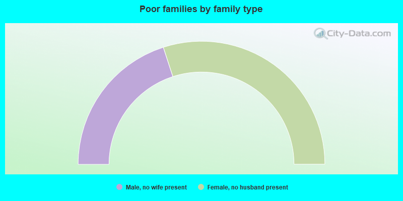 Poor families by family type