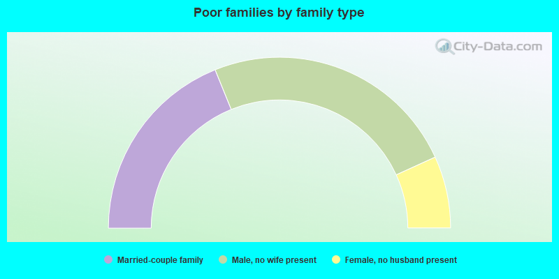 Poor families by family type