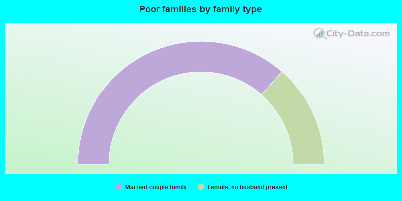 Poor families by family type