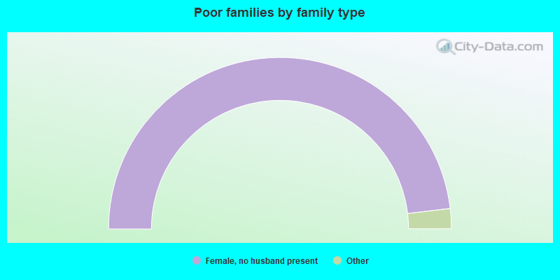 Poor families by family type