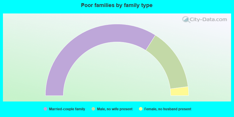 Poor families by family type