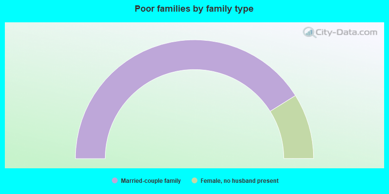 Poor families by family type