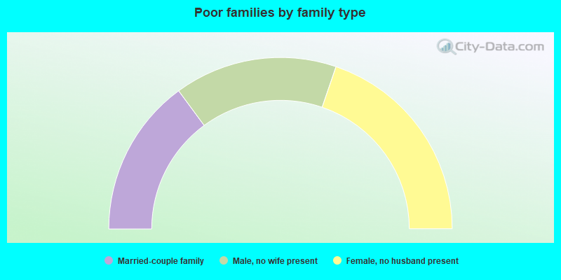 Poor families by family type