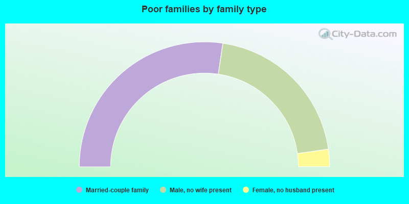 Poor families by family type