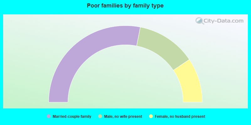 Poor families by family type