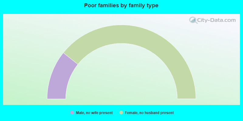 Poor families by family type