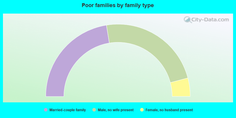 Poor families by family type