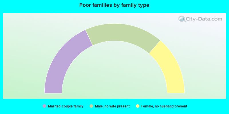 Poor families by family type