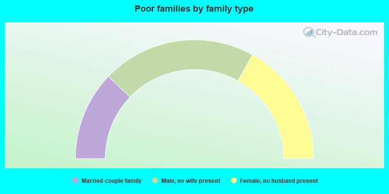 Poor families by family type