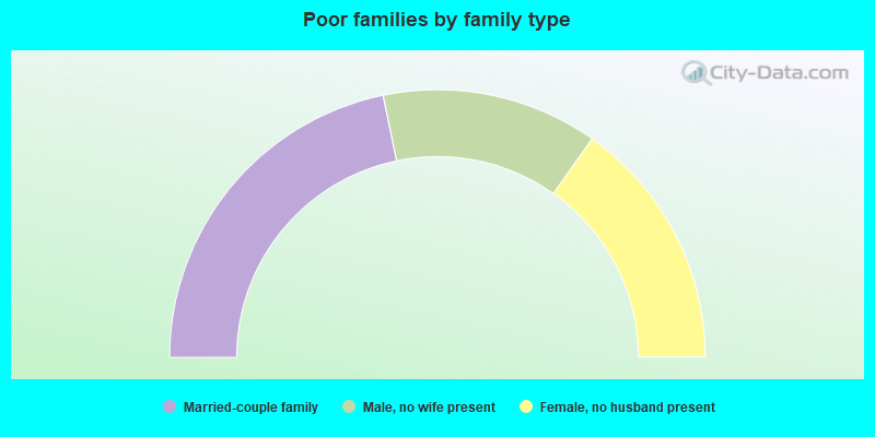 Poor families by family type