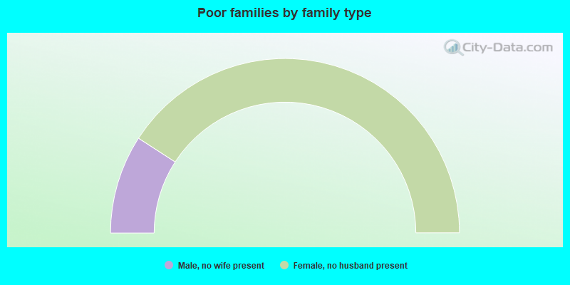 Poor families by family type