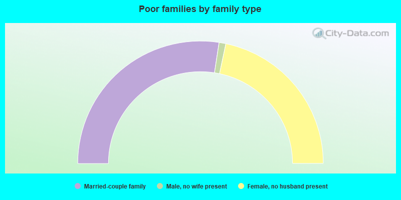 Poor families by family type