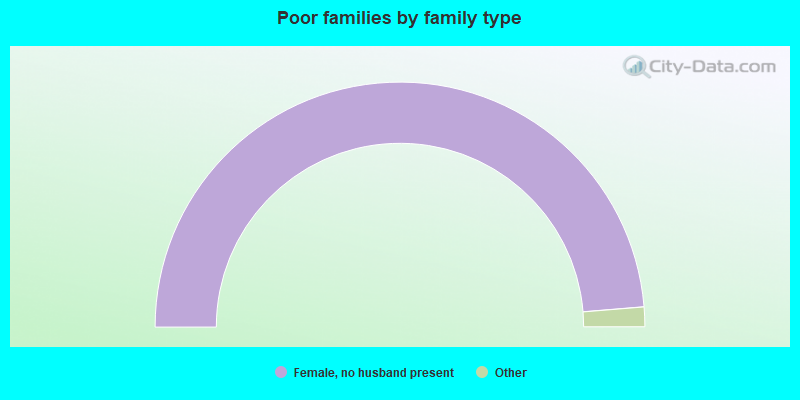 Poor families by family type